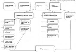 Структура и органы управления образовательной организацией